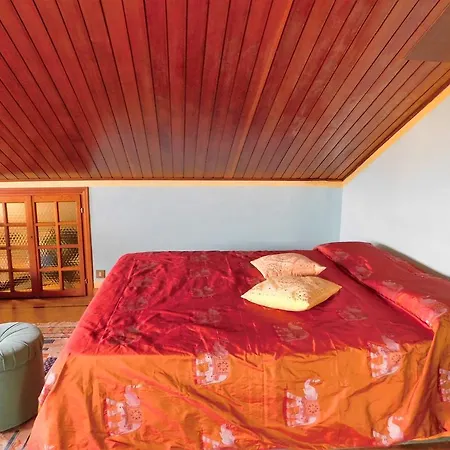 Dream's House * Cuneo